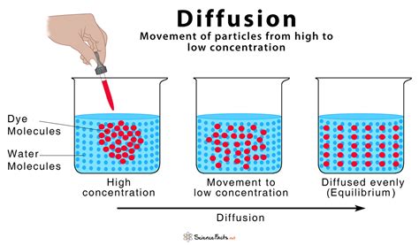 diffusion line meaning